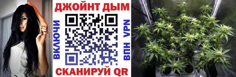 как найти закладки  Волгоград  МАРИХУАНА VHQ 